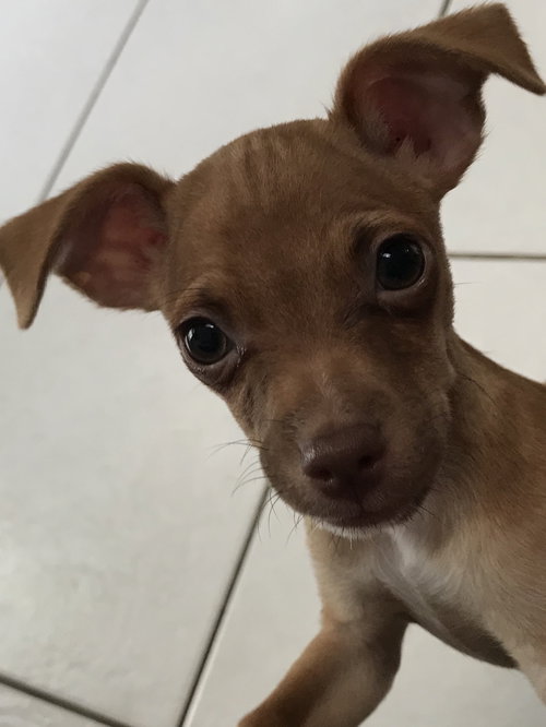 Merlyn
