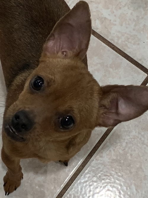 Peety