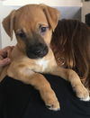 Chloe