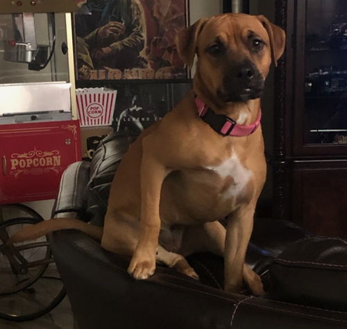 Chloe