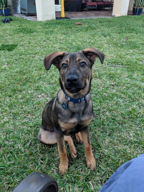 Cooper