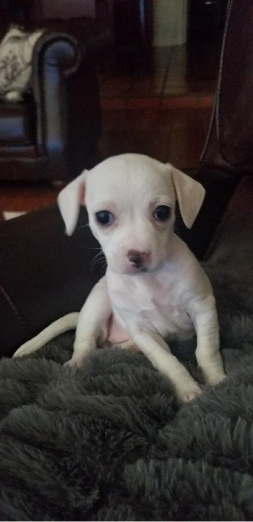Lucy