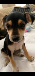 Winnie