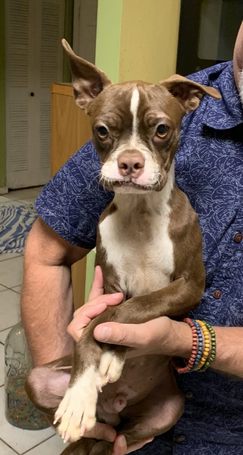 Coco