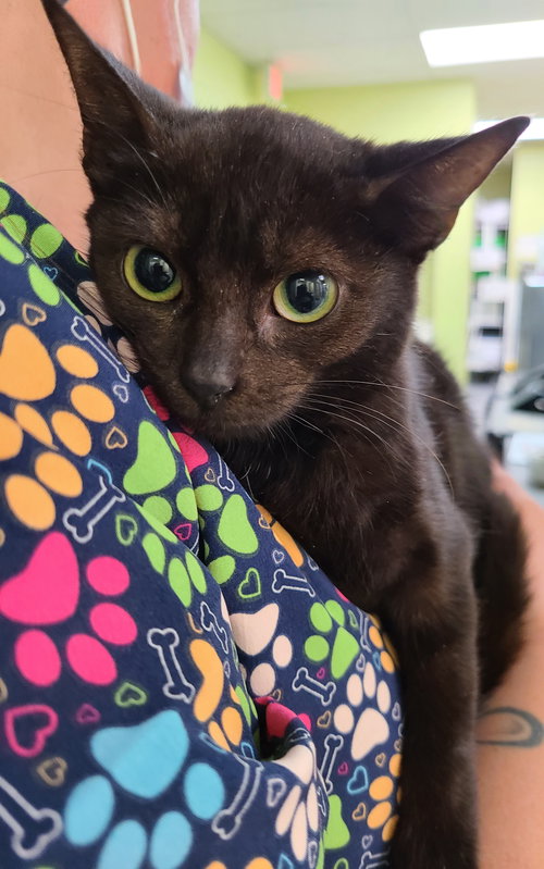 Matilda