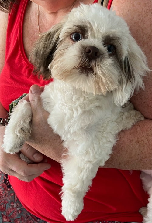 Murphey