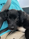 Lilly
