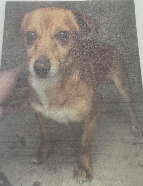 Milo 41663 2406-0157
