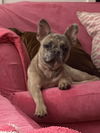 Matilda (A2586732)