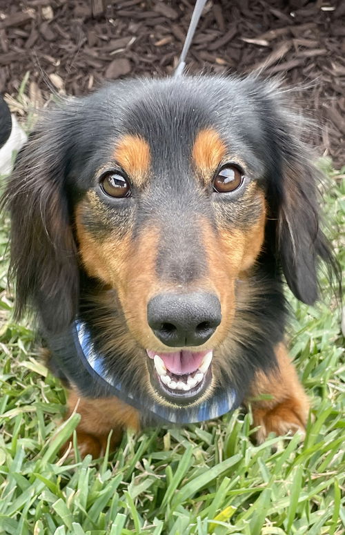 Baxter