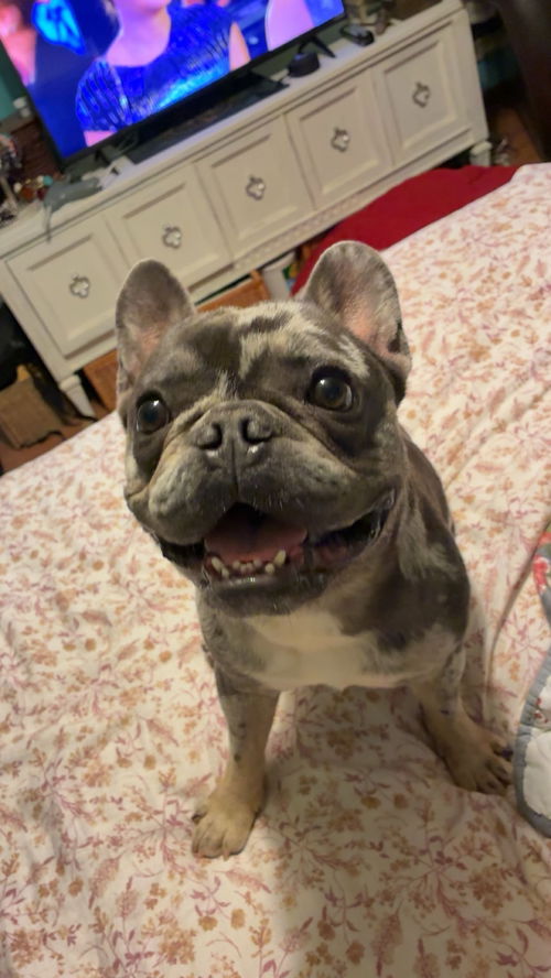 Reggie
