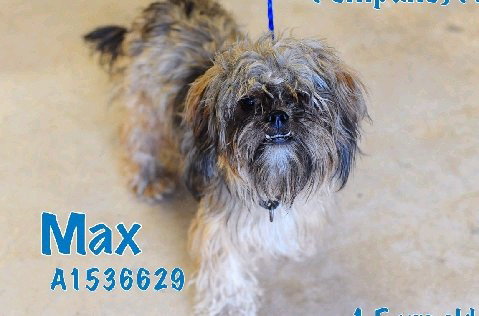 Max