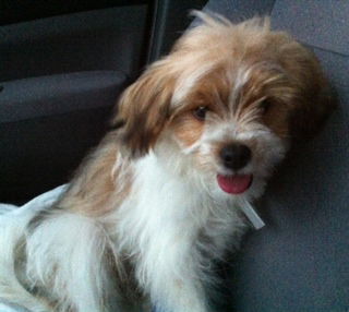 Bentley