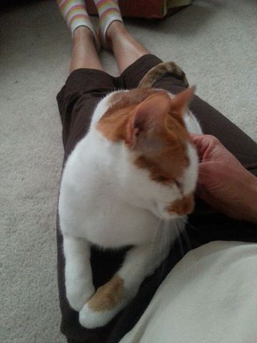 Oliver