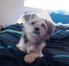 Humphrey