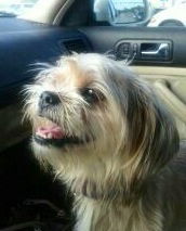 Humphrey