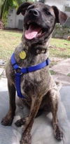 Murphy