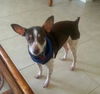 Tucker