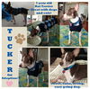 Tucker