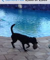 Zoey