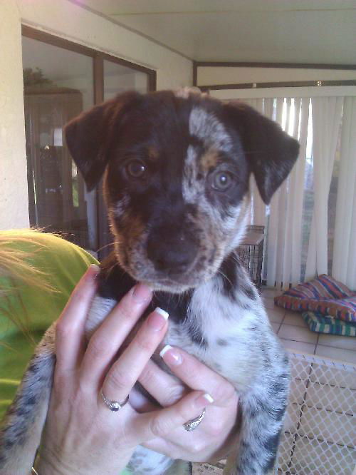 Gunther