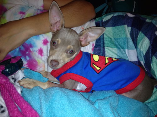 Petey