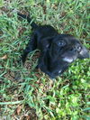 Chiquita