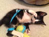Winnie/Precious