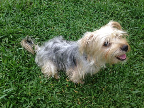 Bently