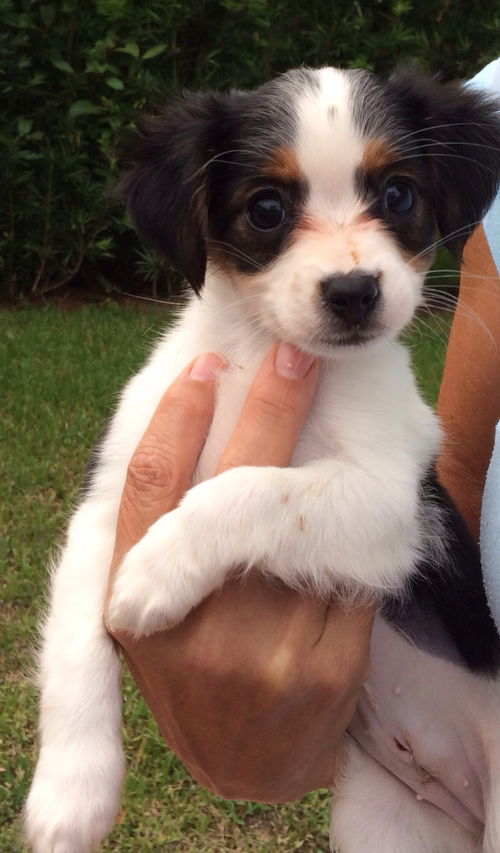 Eloise