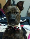 Romeo