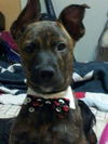 Romeo