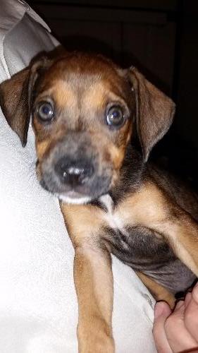 Colbie