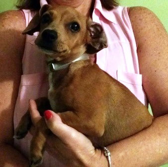 Mitzi