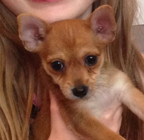 Tinie