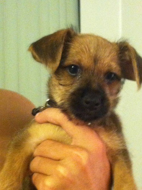 Tucker