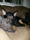 Zoey