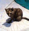 Lucy