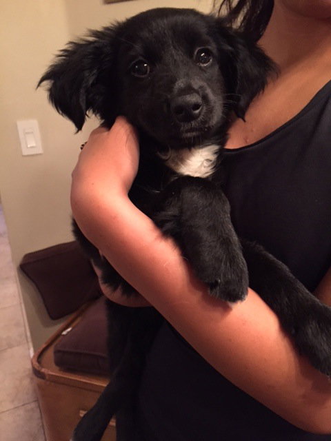 Rosie
