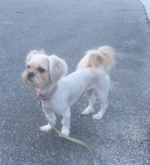 Zoey