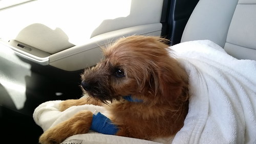 Max