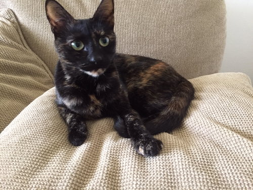 Lucy
