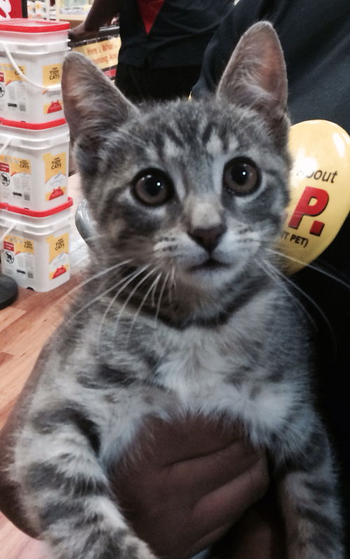 Sebastian
