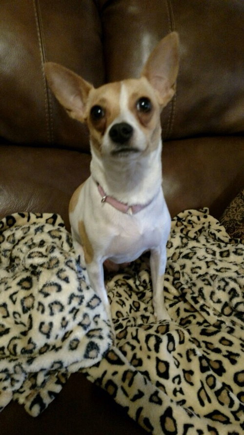 Rosie