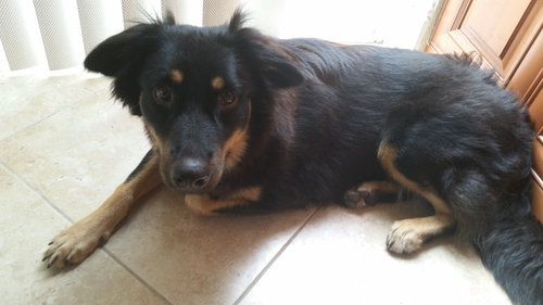 Roxie