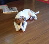 Molly