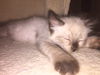 Rory