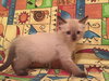 Rory 2