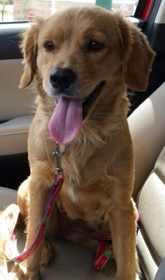 Delilah