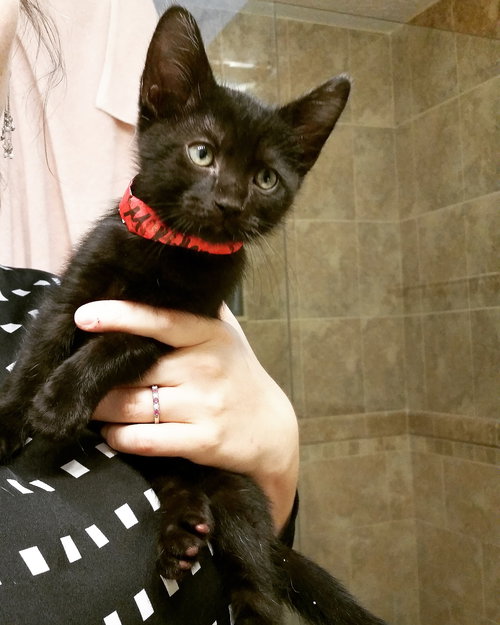 Miso